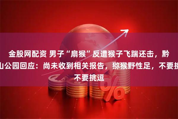 金股网配资 男子“扇猴”反遭猴子飞踹还击，黔灵山公园回应：尚未收到相关报告，猕猴野性足，不要挑逗