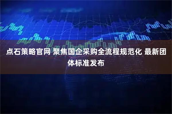 点石策略官网 聚焦国企采购全流程规范化 最新团体标准发布