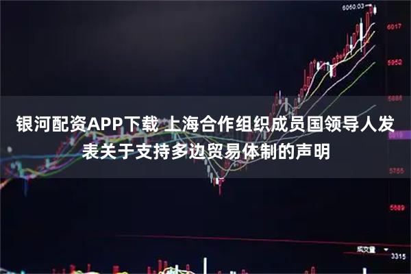 银河配资APP下载 上海合作组织成员国领导人发表关于支持多边贸易体制的声明